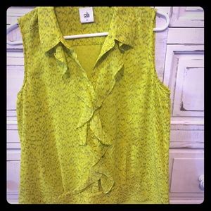 Cabi Blouse.